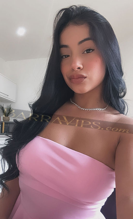 acompanhantes zona sul